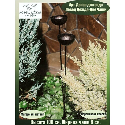 ������ ������ ������������� ����� ��� ����, ����� ����� 