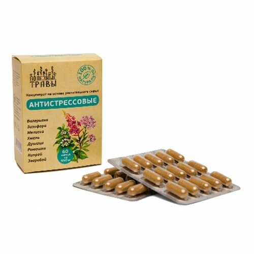 ������ ������ �������� ���� �� ������� �� ������ 