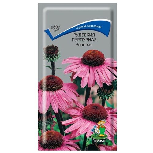 ������ ������ ������ ����� �������� ��������� ������� 0.1 � ����