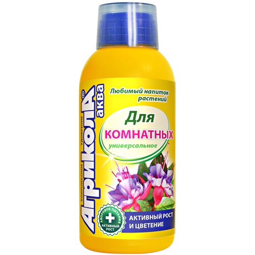 ������ ������ ��������� �������� ���� ��� ��������� ��������, 0.25 �, 1 ��. ����