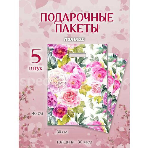 ������ ������ ���������� ������ ����� �������������� ����