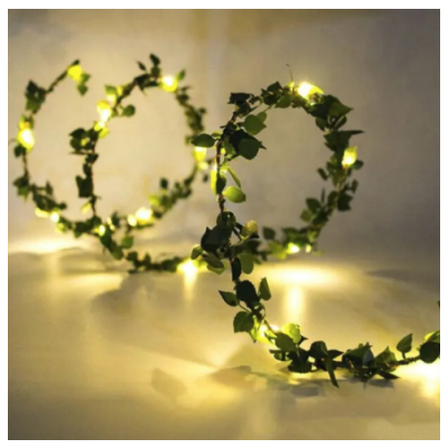 ������ ������ �������� 