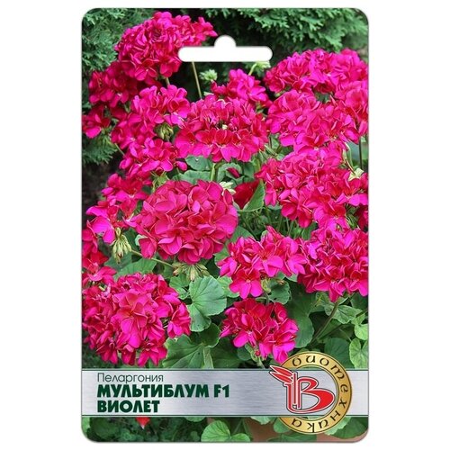 ������ ������ ������ ���������� 