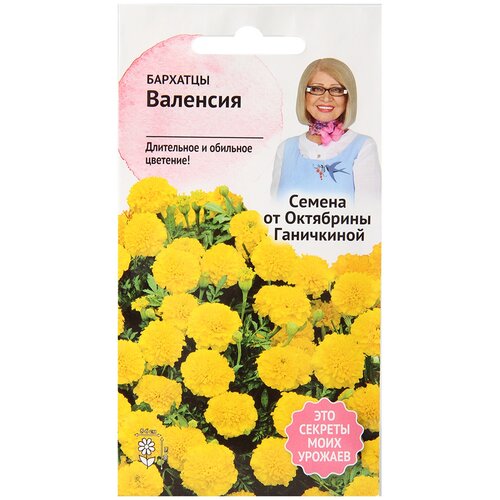 ������ ������ �������� �������� 0,2 � / ������ ���������� ������ ��� ���� / ���������� ����� ��� ������� � ����� / ����