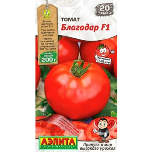 ������ ������ ������ ����� �������� F1 20�� ����� ������ (������) ����