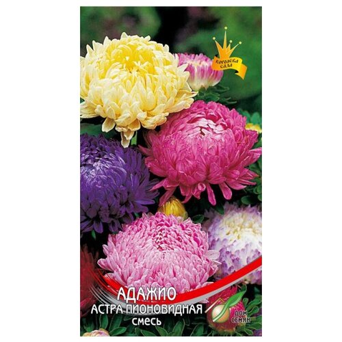 ������ ������ ����� ����������� ������ �����, 90 ����� ����