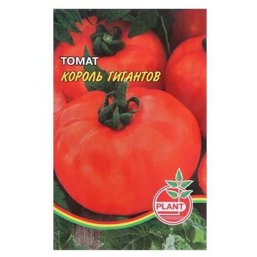 ������ ������ ����� ������ ��������, ������ ��������� ��� 20�� ����