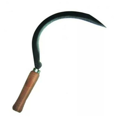 ������ ������ ����������� ��� ���� 300�� ����