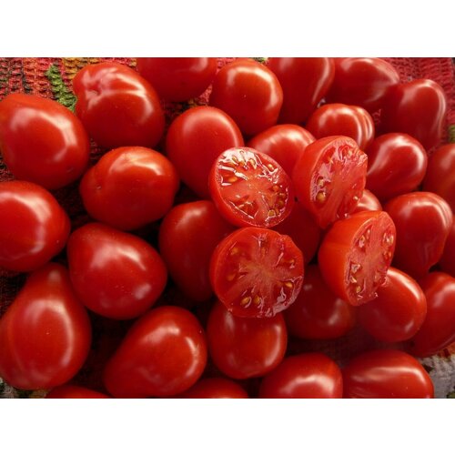 ������ ������ ������������� ������ ������ ������ 14 �������� ����