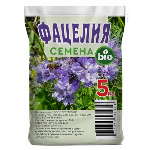 ������ ������ ������� ������ ����������� �������� �������� 5 ��. ����