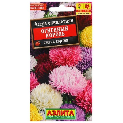 ������ ������ ��������� ������ ������ ������ ����� 