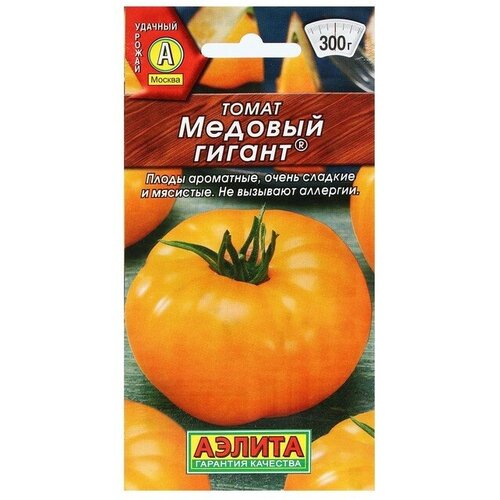 ������ ������ ������ ����� ������� ������ 20�� ��� (������) ����