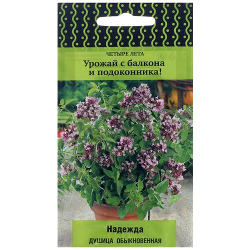 ������ ������ ������ ����� ������ ���� ������ ������������ ������� 20 ��. ����