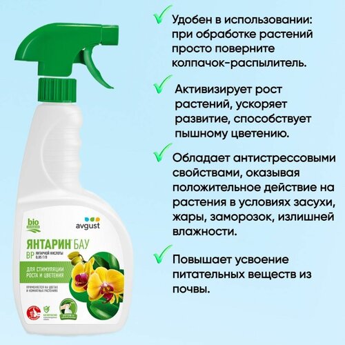 ������ ������ ���������� ����� � �������� ��� �������� ������ ������� ���, 500 �� ����