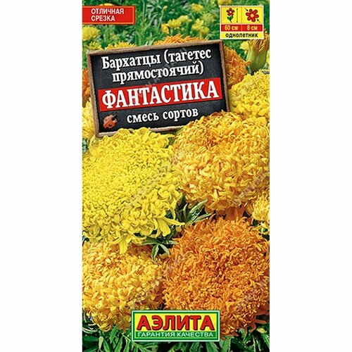 ������ ������ ������ �������� ���������� ����, ����� ������, ����������, (������) 0,1� ����