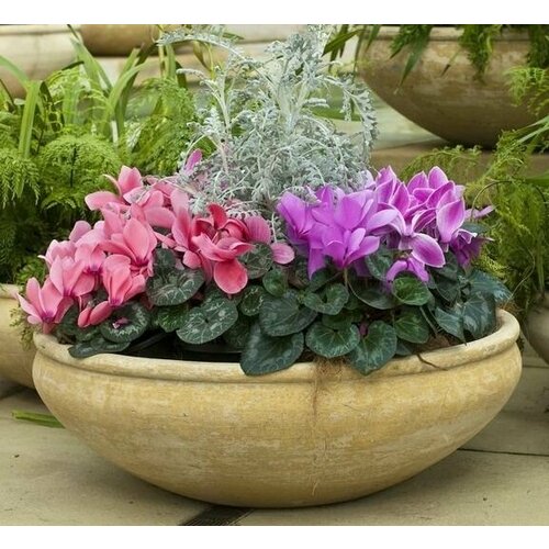 ������ ������ �������� ������� - ������� ������ (������� ��� ������� 1 ��) / ������, ������ ����������� ��������, ����� / ��� ����, ����, ���� � ������� ����