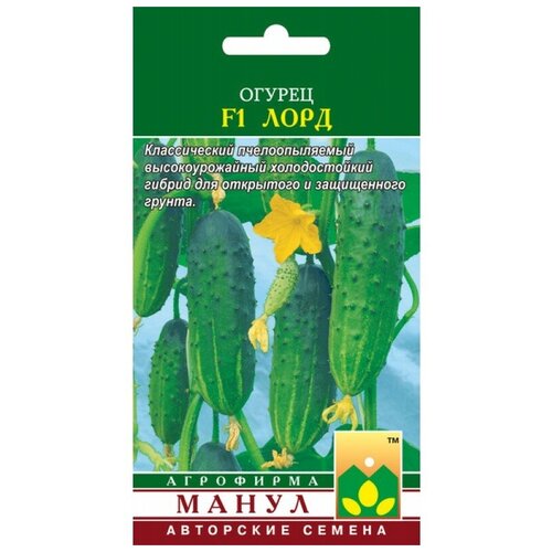 ������ ������ ������ F1 ���� 12 �� ����� ����