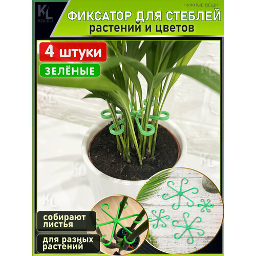 ������ ������ KoLeli / ������ ����� ��� ����� ������� �������� / ������ ��� ��������� � �������� ������� � �����, ������� ����