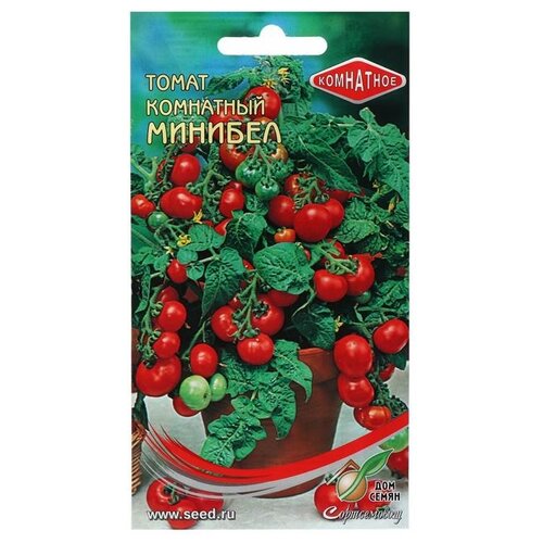 ������ ������ ������ ��� ����� ����� ��������� �������, 15 �� ����