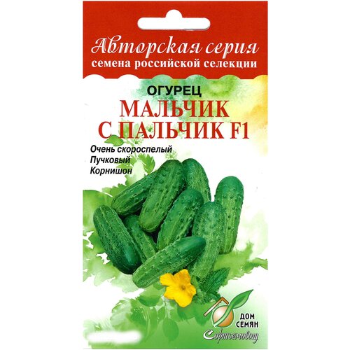 ������ ������ ������ ������� � ������� F1, 6 ����� ����