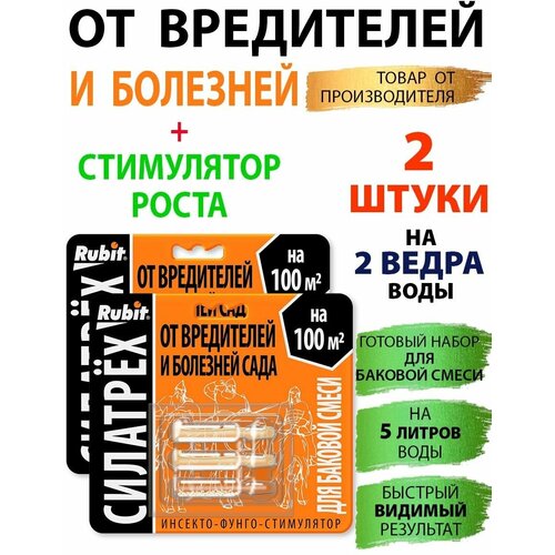 ������ ������ �������� �������� �������-�����-���������� 2��, ����� ����