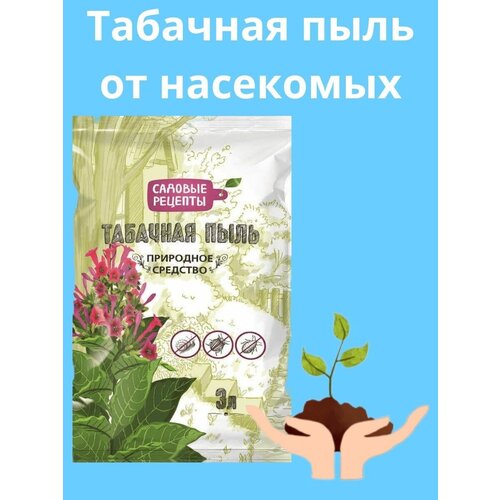 ������ ������ �������� �� ��������� �������� ����, 3 � ����