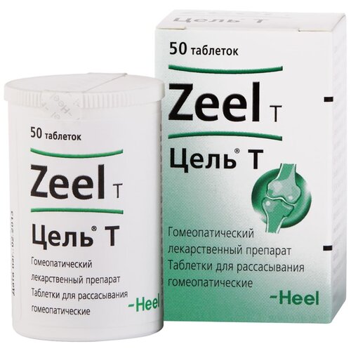 ������ ������ ���� � ���. �/������. ��������., 50 ��. ����