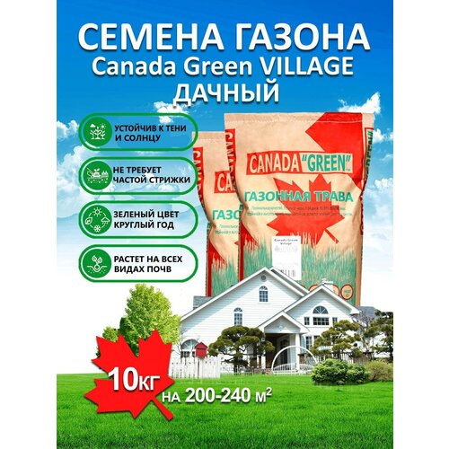 ������ ������ �������� ����� ������ ������ ���� ������ Village 10 ��/ ������, �������, �������� ������ ��� ������ ����