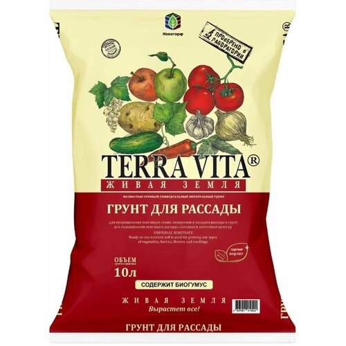 ������ ������ ����� ��� �������, ����� ����� 10� ����