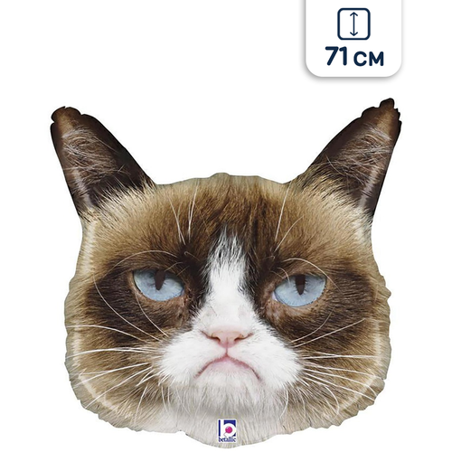 ������ ������ ��������� ��� ���� �������� �����, 71 �� ����