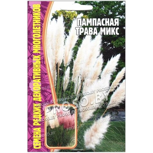 ������ ������ ������ ��������� ����� ���� (0,01 �) ����