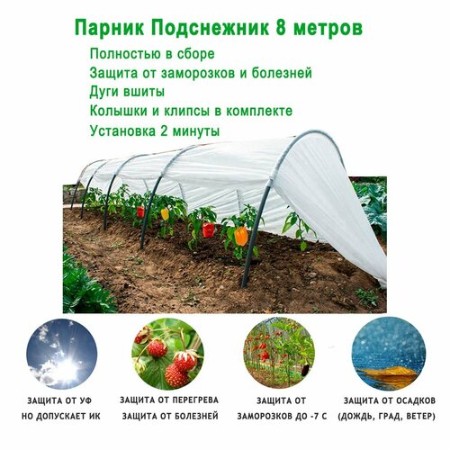 ������ ������ ������ ������� ���������� ������������, 8 ������ / ���� ������� / ������ ������� � ����� ����