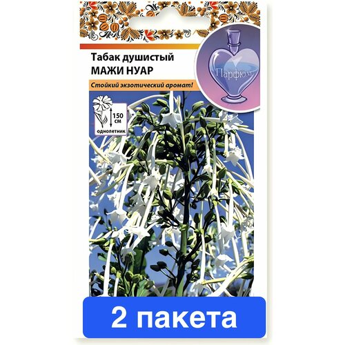 ������ ������ ����� ����� �������� ���� ���� 2 ������ ����