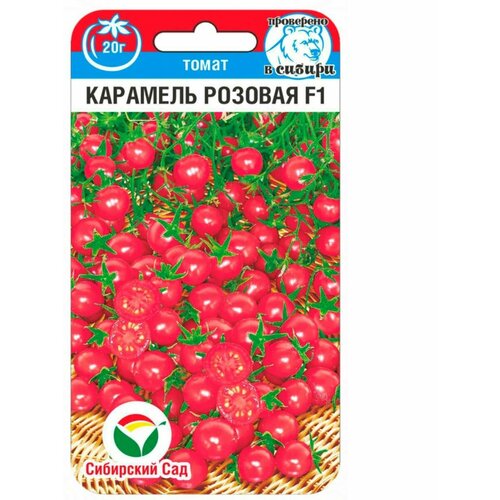 ������ ������ ������ ������� ����� �������� ������� (1 �������� -15 �� �����) ����