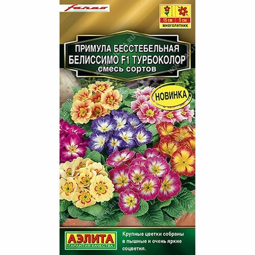 ������ ������ ������ ������� ��������� F1 ����������, ����� ������, �����������, (������) 5�� ������� ����� ����