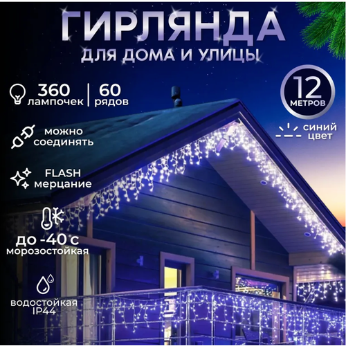 ������ ������ �������� �� ��� 12 ������, �������� ������� ����� ����