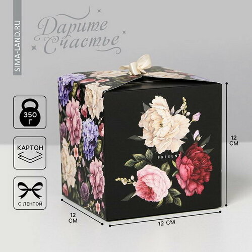 ������ ������ ������� ���������� ��������, ��������, 