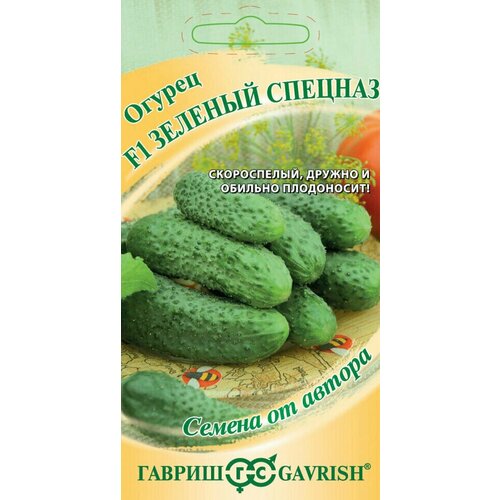 ������ ������ ������ ������ ������� ������� F1, 10��, ������, ������ �� ������ ����