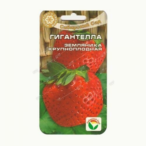 ������ ������ ���������� 10�� �������� (��� ���) ����