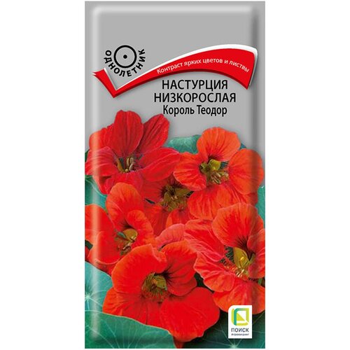 ������ ������ ��������� ������ ������ ����������� 1� ����� ����