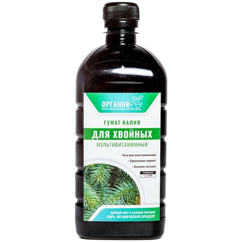 ������ ������ ��������� ��� ������� ����� ����� ����