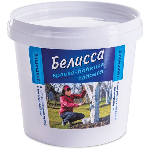 ������ ������ ���� ��������� ������� ������-������� �������, 1000 ��, 1000 � ����