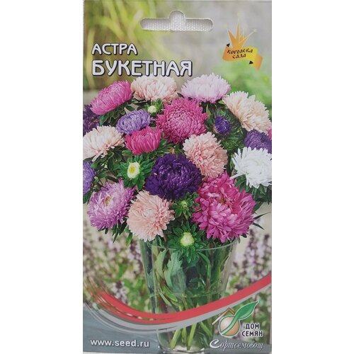 ������ ������ ����� �������� �����, 110 ����� ����