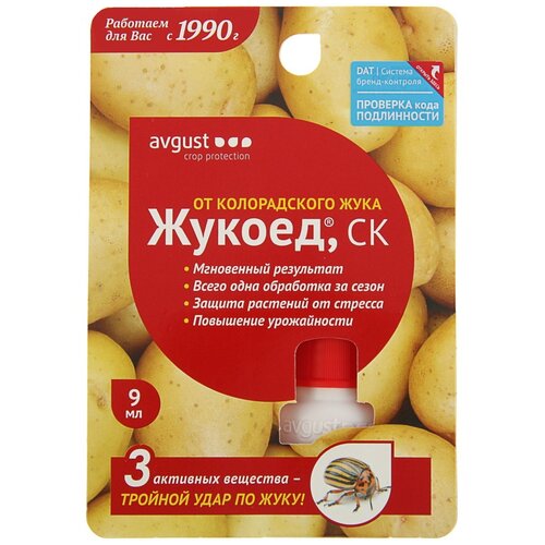 ������ ������ Avgust �������� �� ������������ ���� ������, 9 ��, 17 � ����