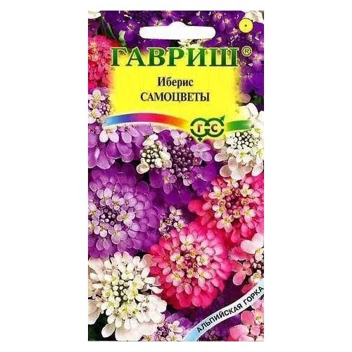 ������ ������ ������ ���������, ������ ������ ���������� ����� 0,1� ����