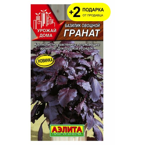 ������ ������ ������. ������� ������� 