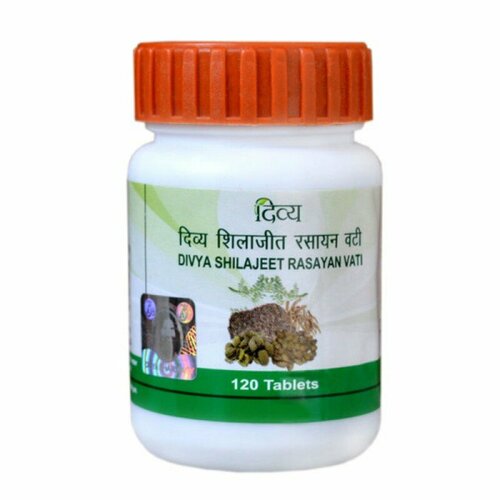 ������ ������ �������� ������� ���� ����� (Shilajeet Rasayan Vati Divya), 120 �������� ����