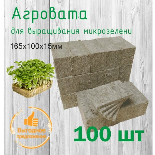 ������ ������ �������� ��� ����������� ����������� ����