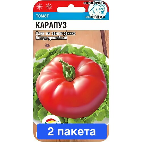 ������ ������ ������ ������ ��������� ��� 