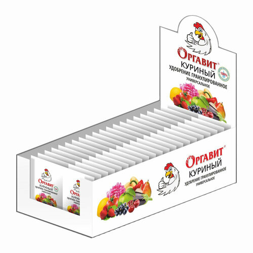 ������ ������ ������� ������� 10�� ����